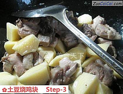 土豆烧鸡块做法第三步骤