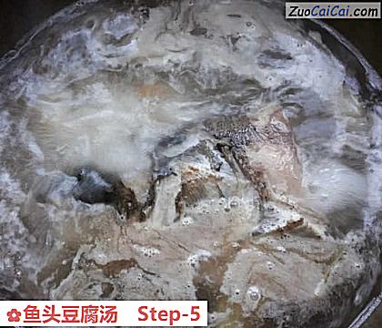 鱼头豆腐汤做法第五步骤