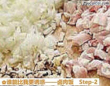 卤肉饭做法第二步骤