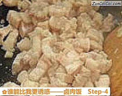 卤肉饭做法第四步骤