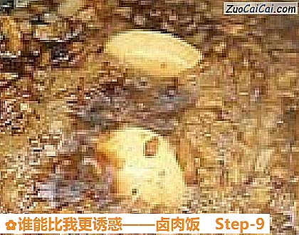 卤肉饭做法第九步骤