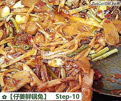 ［仔姜鲜锅兔］做法第十步骤