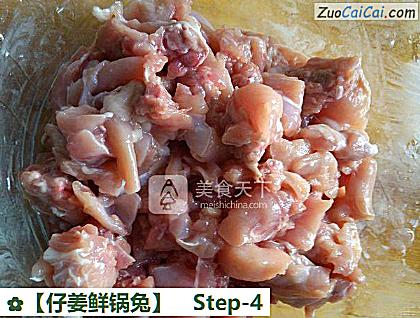 ［仔姜鲜锅兔］做法第四步骤