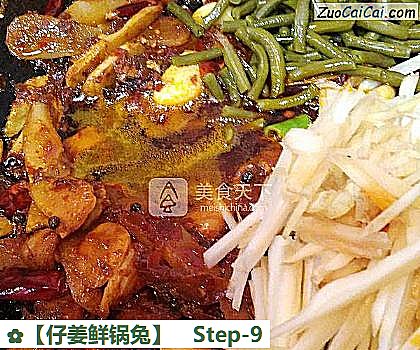 ［仔姜鲜锅兔］做法第九步骤