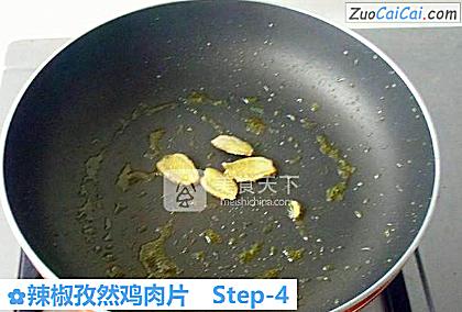 辣椒孜然鸡肉片做法第四步骤