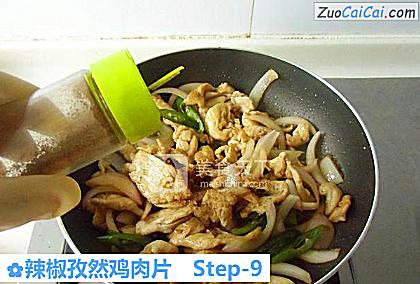 辣椒孜然鸡肉片做法第九步骤