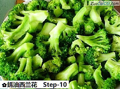 蚝油西兰花做法第十步骤