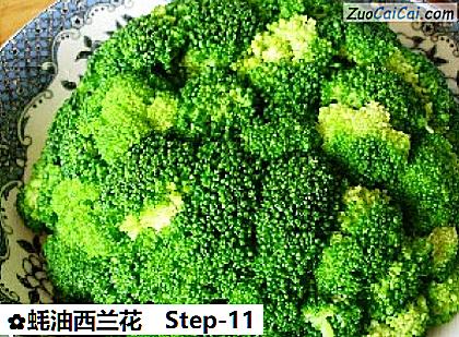 蚝油西兰花做法第十一步骤