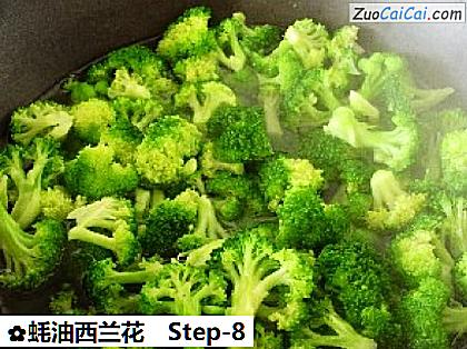 蚝油西兰花做法第八步骤