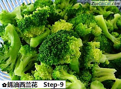 蚝油西兰花做法第九步骤
