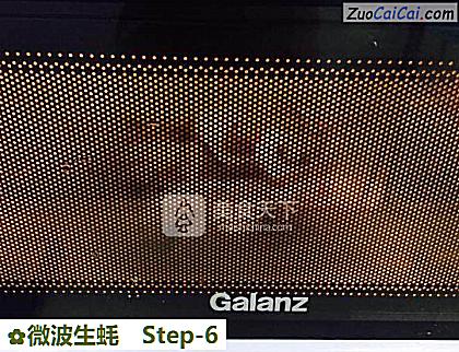 微波生蚝做法第六步骤