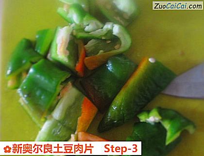 新奥尔良土豆肉片做法第三步骤