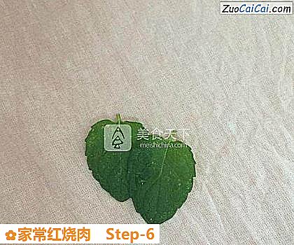 家常红烧肉做法第六步骤