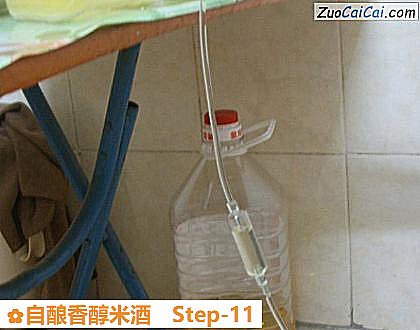 自酿香醇米酒做法第十一步骤