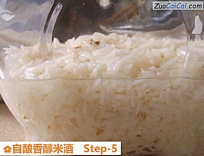 自酿香醇米酒做法第五步骤