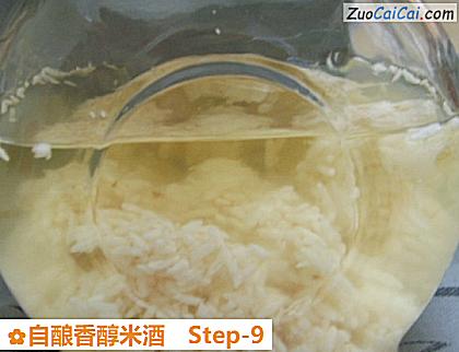 自酿香醇米酒做法第九步骤