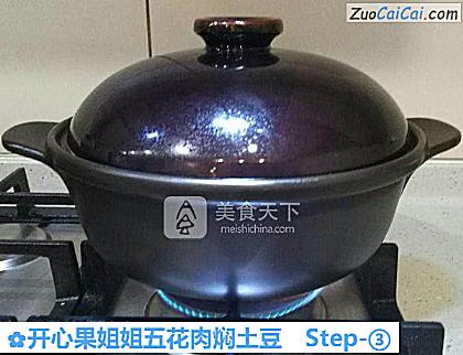 开心果姐姐五花肉焖土豆做法第三步骤