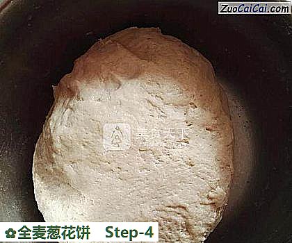 全麦葱花饼做法第四步骤