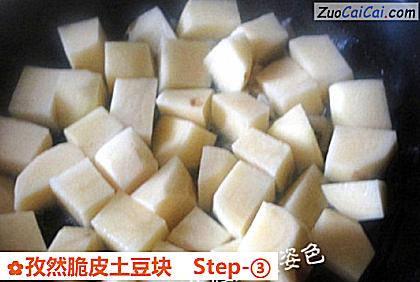 孜然脆皮土豆块做法第三步骤