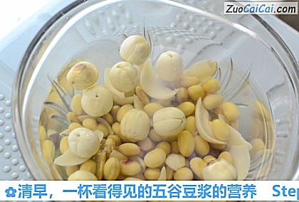 一杯看得见的五谷豆浆的营养做法第二步骤