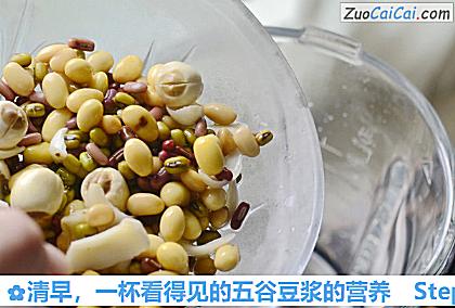 一杯看得见的五谷豆浆的营养做法第三步骤