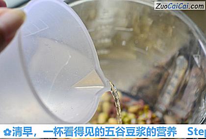 一杯看得见的五谷豆浆的营养做法第四步骤