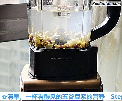 一杯看得见的五谷豆浆的营养做法第五步骤