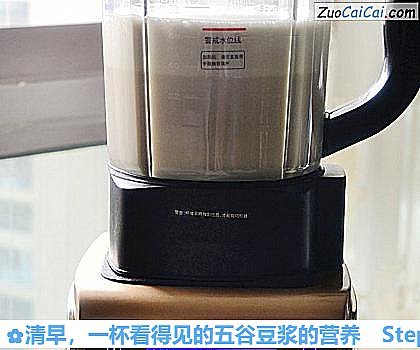 一杯看得见的五谷豆浆的营养做法第七步骤