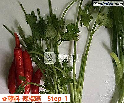 蘸料-辣椒碟做法第一步骤