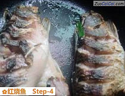 红烧鱼做法第四步骤