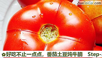 番茄土豆炖牛腩做法第二步骤
