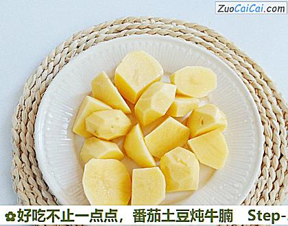 番茄土豆炖牛腩做法第三步骤
