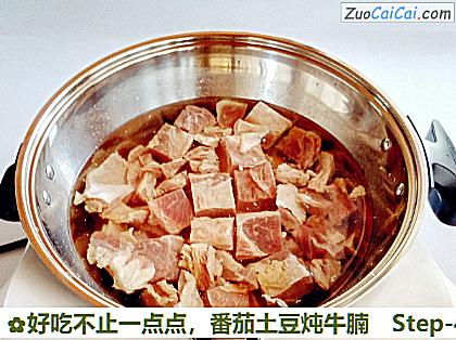 番茄土豆炖牛腩做法第四步骤