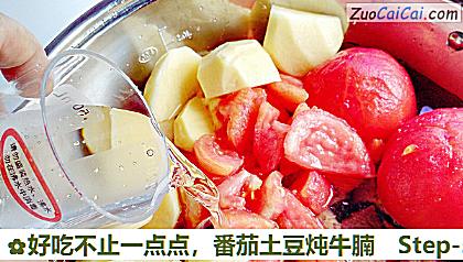 番茄土豆炖牛腩做法第五步骤