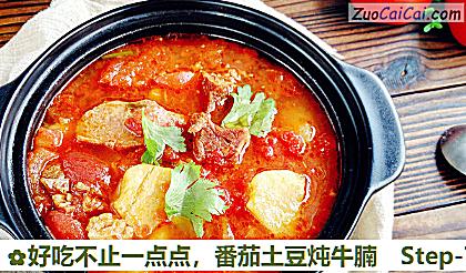 番茄土豆炖牛腩做法第七步骤