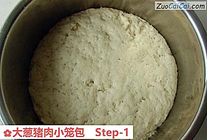 大葱猪肉小笼包做法第一步骤