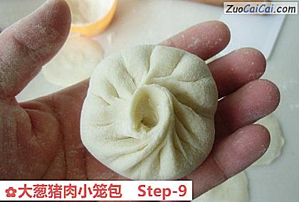 大葱猪肉小笼包做法第九步骤