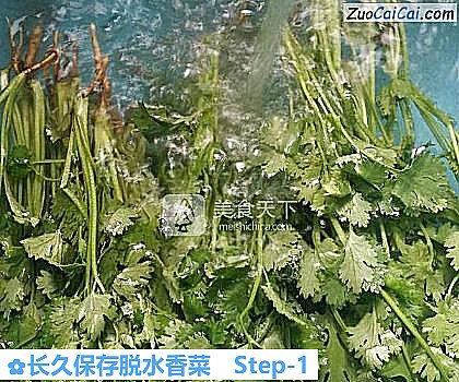 长久保存脱水香菜做法第一步骤