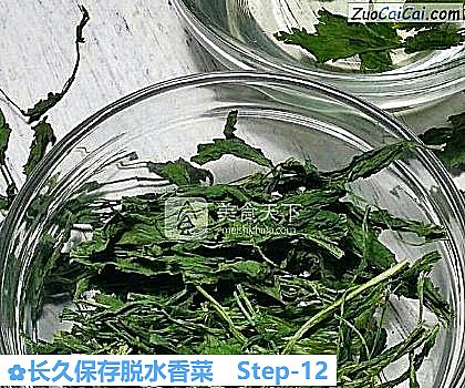 长久保存脱水香菜做法第十二步骤