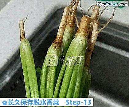 长久保存脱水香菜做法第十三步骤