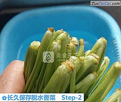 长久保存脱水香菜做法第二步骤