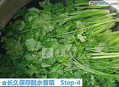 长久保存脱水香菜做法第四步骤