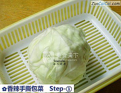 香辣手撕包菜做法第一步骤