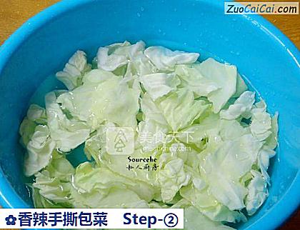 香辣手撕包菜做法第二步骤