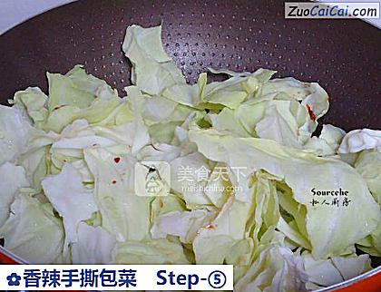 香辣手撕包菜做法第五步骤