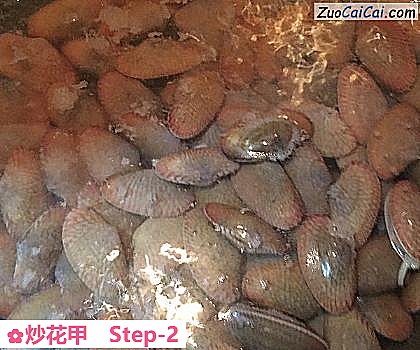 炒花甲做法第二步骤