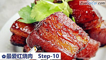 最爱红烧肉做法第十步骤