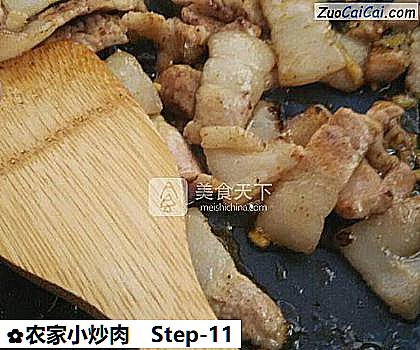 农家小炒肉做法第十一步骤