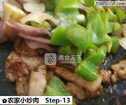 农家小炒肉做法第十三步骤