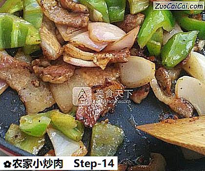 农家小炒肉做法第十四步骤